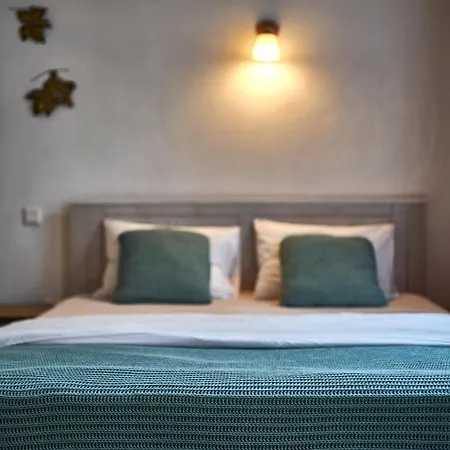 1881 Old Town Panzió Brassó